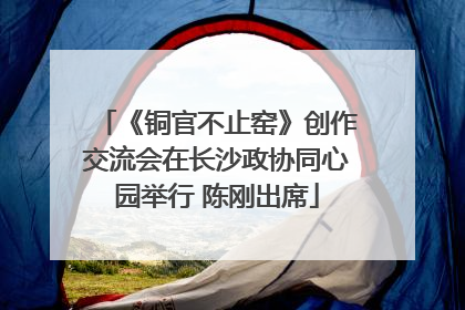 《铜官不止窑》创作交流会在长沙政协同心园举行 陈刚出席