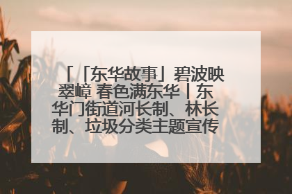 「东华故事」碧波映翠嶂 春色满东华丨东华门街道河长制、林长制、垃圾分类主题宣传如火如荼中