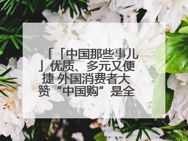 「中国那些事儿」优质、多元又便捷 外国消费者大赞“中国购”是全新体验！