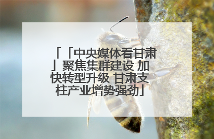 「中央媒体看甘肃」聚焦集群建设 加快转型升级 甘肃支柱产业增势强劲