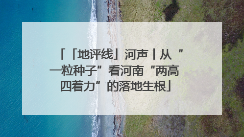 「地评线」河声丨从“一粒种子”看河南“两高四着力”的落地生根