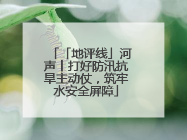 「地评线」河声丨打好防汛抗旱主动仗，筑牢水安全屏障