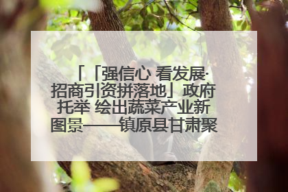 「强信心 看发展·招商引资拼落地」政府托举 绘出蔬菜产业新图景——镇原县甘肃聚广利现代设施蔬菜种植基地见闻