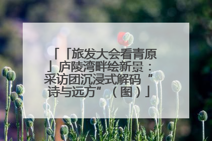 「旅发大会看青原」庐陵湾畔绘新景：采访团沉浸式解码“诗与远方”（图）