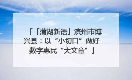 「蒲湖新语」滨州市博兴县：以“小切口”做好数字惠民“大文章”