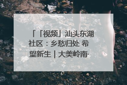 「视频」汕头东湖社区：乡愁归处 希望新生｜大美岭南·百村焕新记