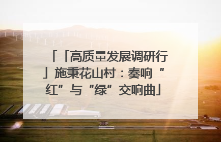 「高质量发展调研行」施秉花山村：奏响“红”与“绿”交响曲