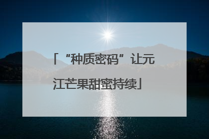 “种质密码”让元江芒果甜蜜持续