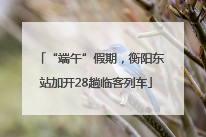 “端午”假期，衡阳东站加开28趟临客列车