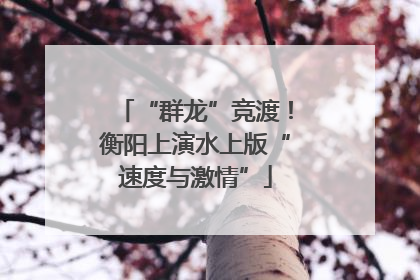 “群龙”竞渡！衡阳上演水上版“速度与激情”