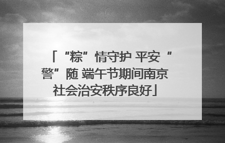 “粽”情守护 平安“警”随 端午节期间南京社会治安秩序良好