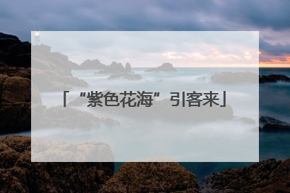 “紫色花海”引客来