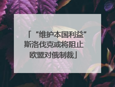 “维护本国利益” 斯洛伐克或将阻止欧盟对俄制裁