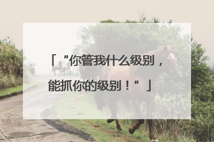 “你管我什么级别，能抓你的级别！”