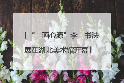 “一画心源”李一书法展在湖北美术馆开幕