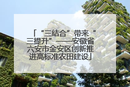 “三结合”带来“三提升”——安徽省六安市金安区创新推进高标准农田建设