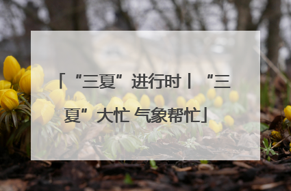 “三夏”进行时丨“三夏”大忙 气象帮忙