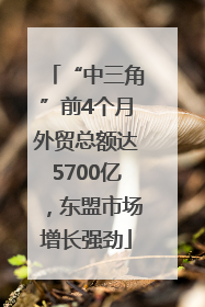 “中三角”前4个月外贸总额达5700亿，东盟市场增长强劲