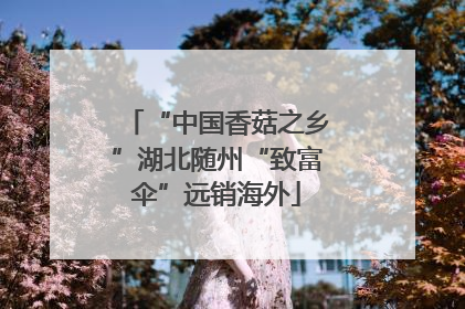“中国香菇之乡”湖北随州“致富伞”远销海外
