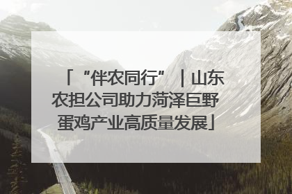 “伴农同行”｜山东农担公司助力菏泽巨野蛋鸡产业高质量发展