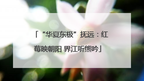 “华夏东极”抚远：红莓映朝阳 界江听熊吟