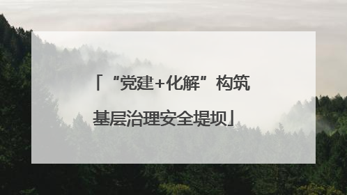 “党建+化解”构筑基层治理安全堤坝
