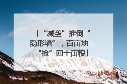 “减垄”推倒“隐形墙”，百亩地“捡”回十亩粮