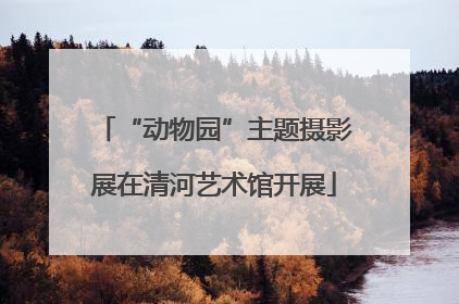 “动物园”主题摄影展在清河艺术馆开展