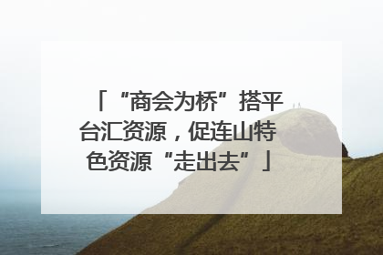 “商会为桥”搭平台汇资源，促连山特色资源“走出去”