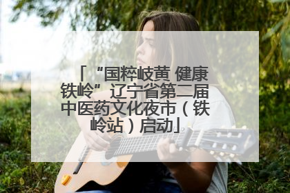 “国粹岐黄 健康铁岭”辽宁省第二届中医药文化夜市（铁岭站）启动