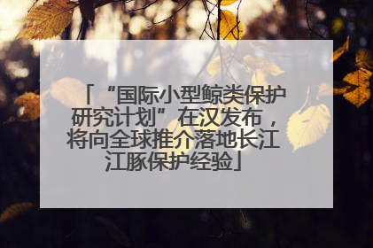 “国际小型鲸类保护研究计划”在汉发布，将向全球推介落地长江江豚保护经验