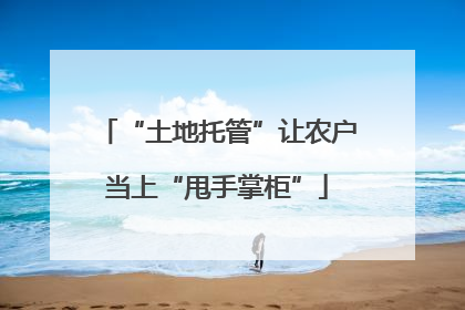 “土地托管”让农户当上“甩手掌柜”