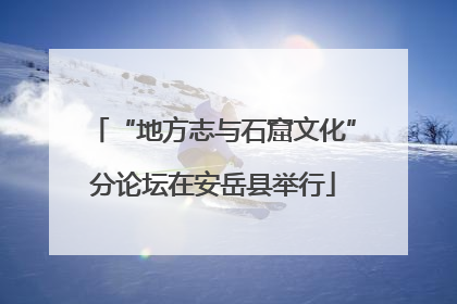 “地方志与石窟文化”分论坛在安岳县举行