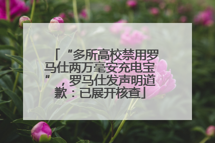 “多所高校禁用罗马仕两万毫安充电宝”，罗马仕发声明道歉：已展开核查