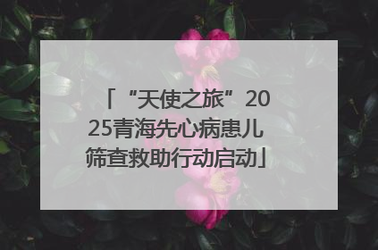 “天使之旅”2025青海先心病患儿筛查救助行动启动