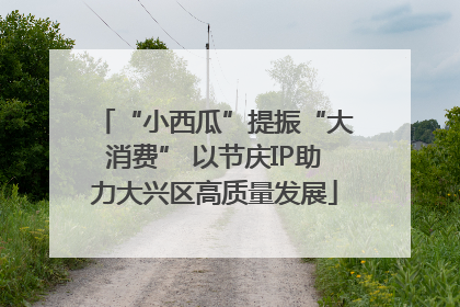 “小西瓜”提振“大消费” 以节庆IP助力大兴区高质量发展