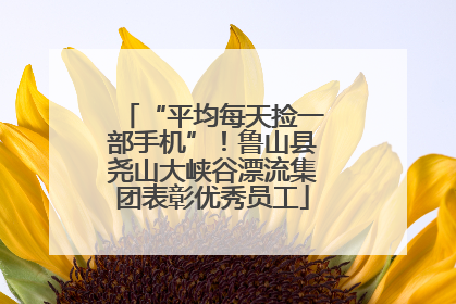 “平均每天捡一部手机”！鲁山县尧山大峡谷漂流集团表彰优秀员工