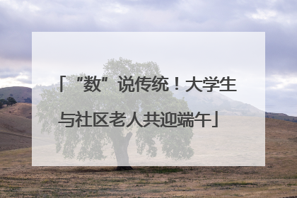 “数”说传统！大学生与社区老人共迎端午