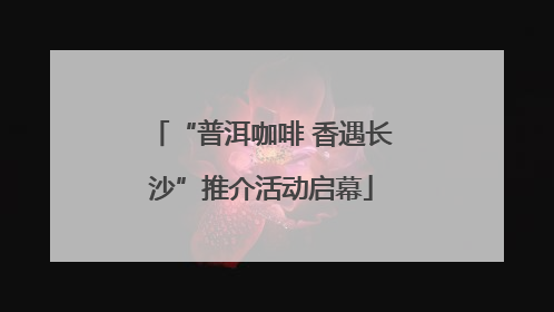 “普洱咖啡 香遇长沙”推介活动启幕