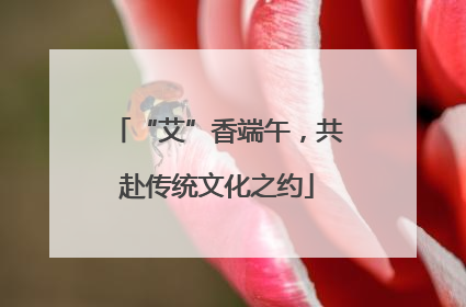 “艾”香端午，共赴传统文化之约