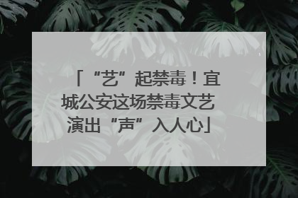 “艺”起禁毒！宜城公安这场禁毒文艺演出“声”入人心