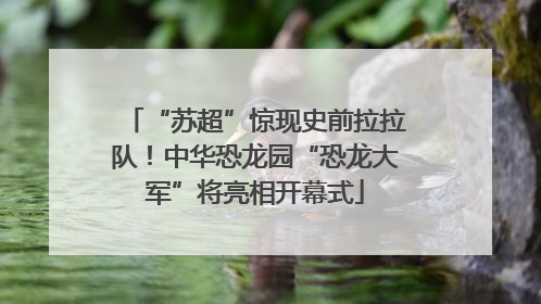 “苏超”惊现史前拉拉队！中华恐龙园“恐龙大军”将亮相开幕式