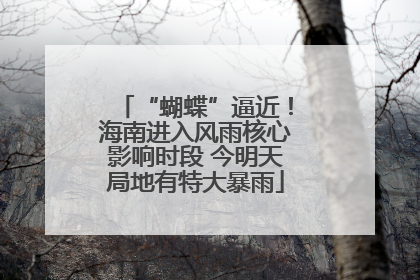 “蝴蝶”逼近！海南进入风雨核心影响时段 今明天局地有特大暴雨