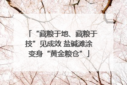 “藏粮于地、藏粮于技”见成效 盐碱滩涂变身“黄金粮仓”