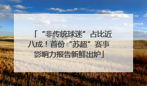 “非传统球迷”占比近八成！首份“苏超”赛事影响力报告新鲜出炉