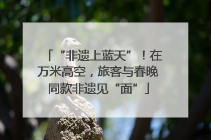 “非遗上蓝天”！在万米高空，旅客与春晚同款非遗见“面”