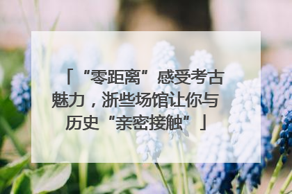 “零距离”感受考古魅力，浙些场馆让你与历史“亲密接触”
