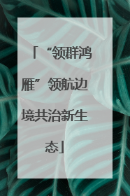 “领群鸿雁”领航边境共治新生态