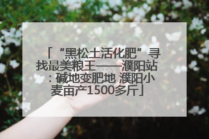 “黑松土活化肥”寻找最美粮王——濮阳站：碱地变肥地 濮阳小麦亩产1500多斤