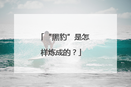 “黑豹”是怎样炼成的？